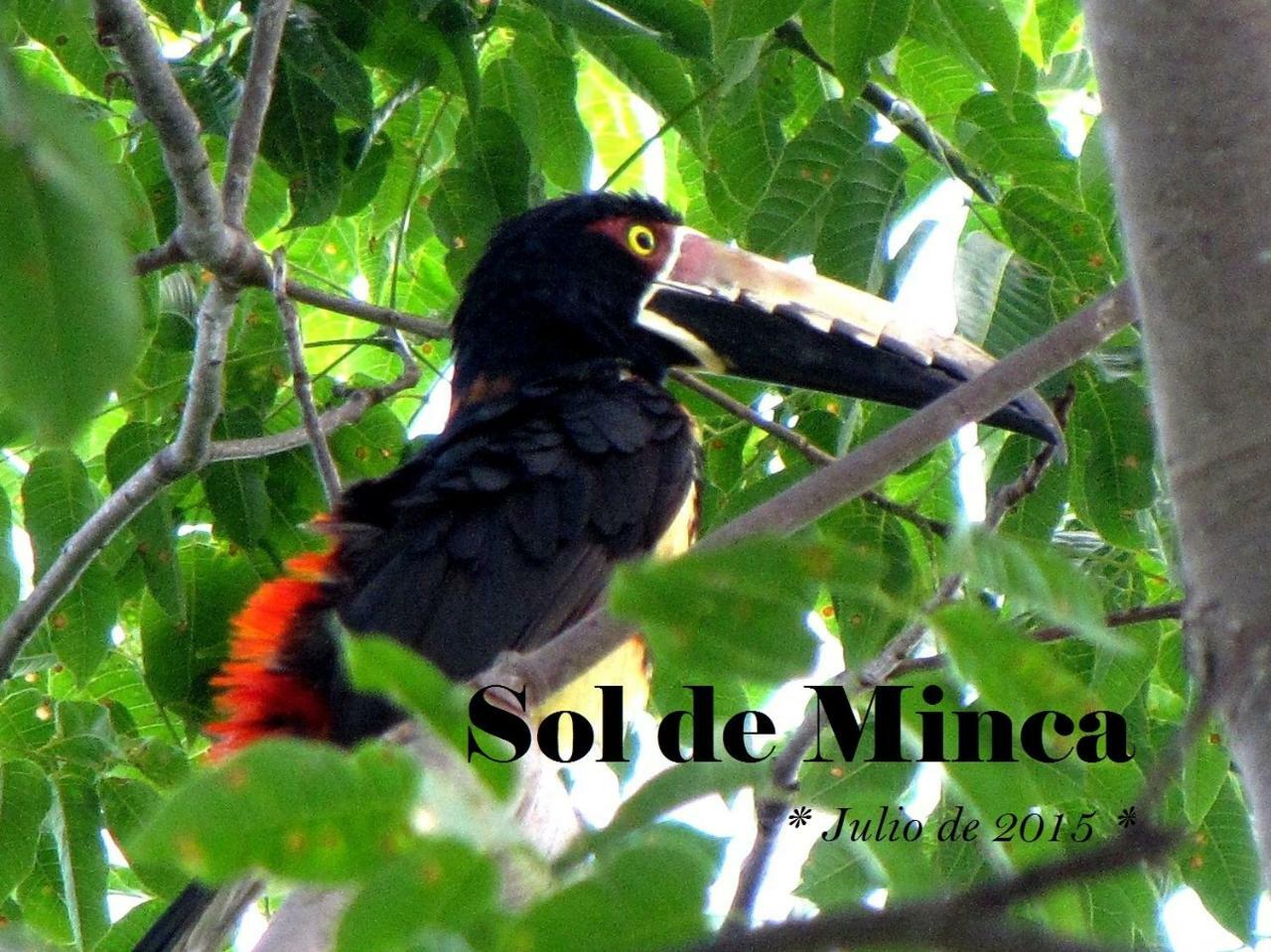 Sol De Minca Eco Lodge Exteriör bild